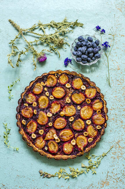 Pie with plums and hazelnuts on blue background with herbarium and fresh blueberries — Stock Photo