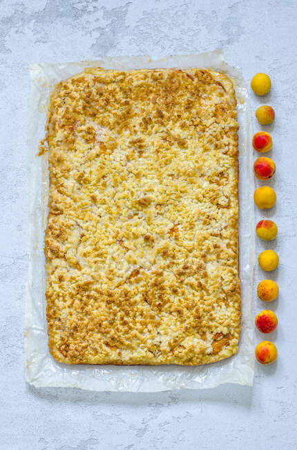 Grated cake with apricots on a concrete surface — Stock Photo