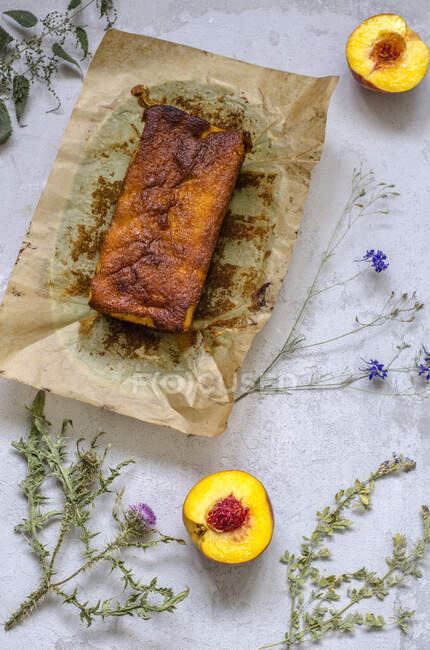 Kuchen mit Pfirsichen auf Betongrund mit Herbarium — Stockfoto
