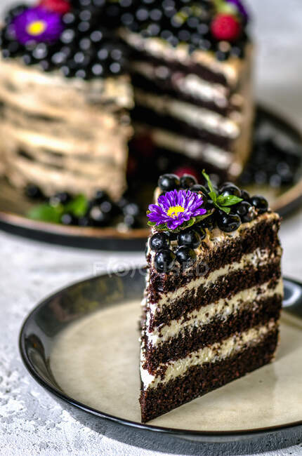 Um pedaço de bolo com cereja de pássaro — Fotografia de Stock