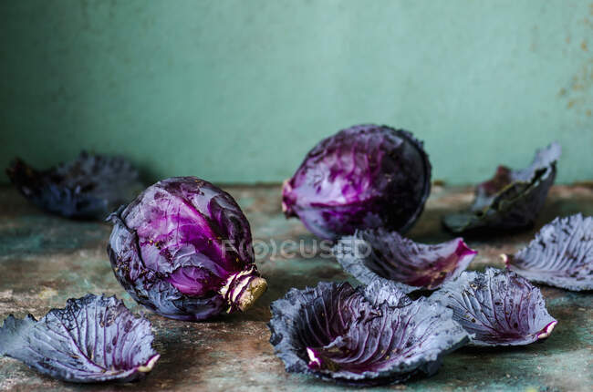 Repollo violeta con hojas - foto de stock