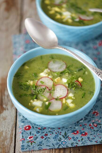 Spinach soup with egg and red radishes — Stock Photo