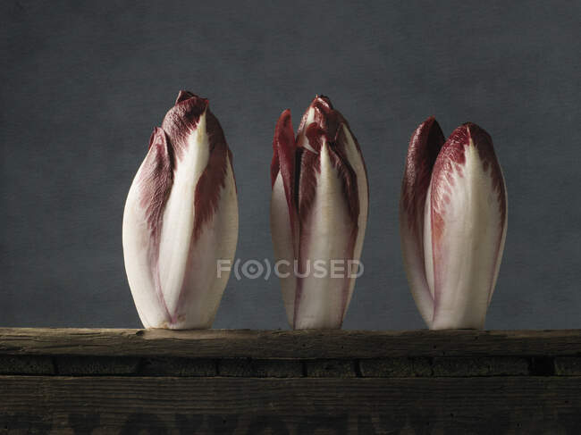 Red chicory heads in row on wooden shelf — Stock Photo
