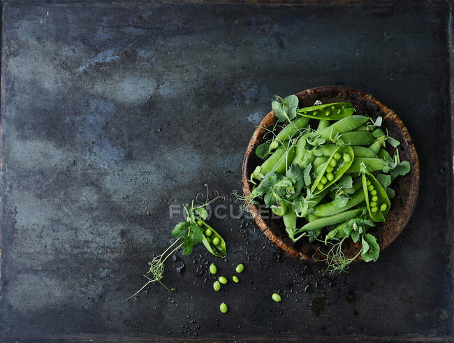 Fresh pea pods in a wooden bowl — Stock Photo