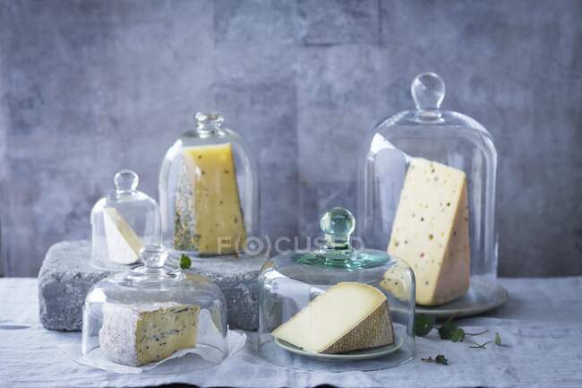 Several varieties of cheese under cheese bells — Stock Photo