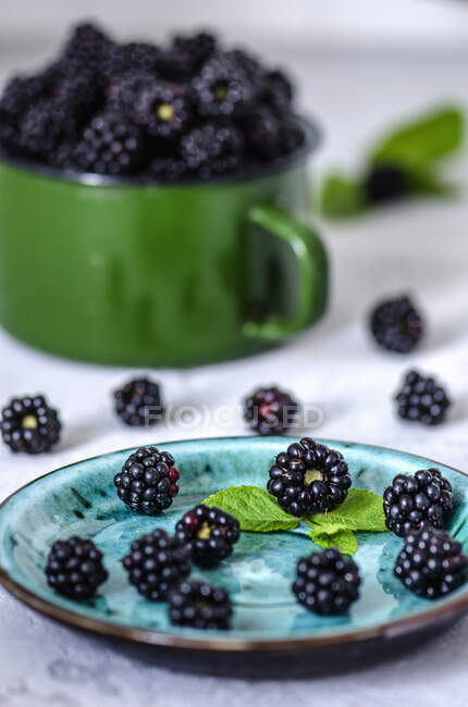 Blackberries with mint on plate, table and in mug — Stock Photo