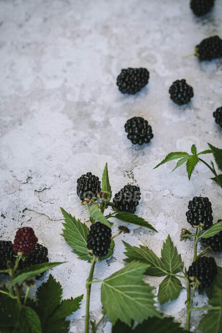 Blackberries with green leaves on stone surface — Stock Photo