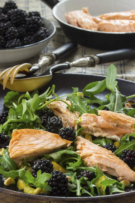 Rocket salad with blackberries, roasted salmon fillet and pine nuts - foto de stock