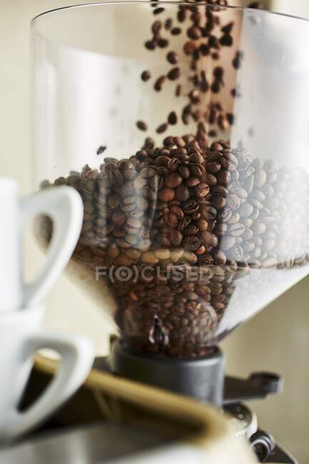 Granos de café cayendo en un molino de café - foto de stock
