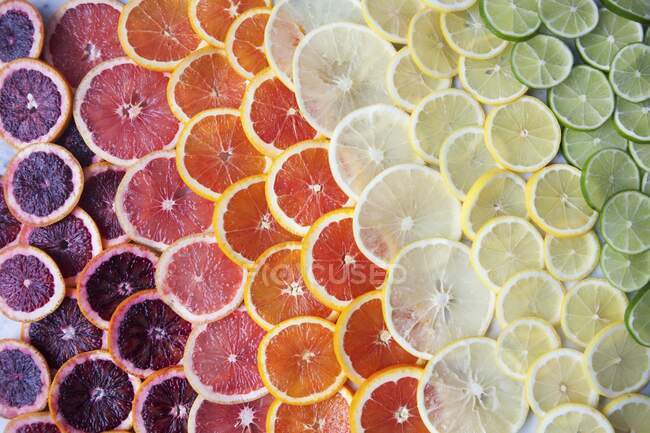 Fatias de citrinos coloridas em fileiras — Fotografia de Stock
