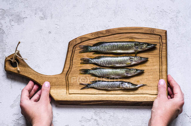 Fresh pike on a wooden board in hands — Stock Photo