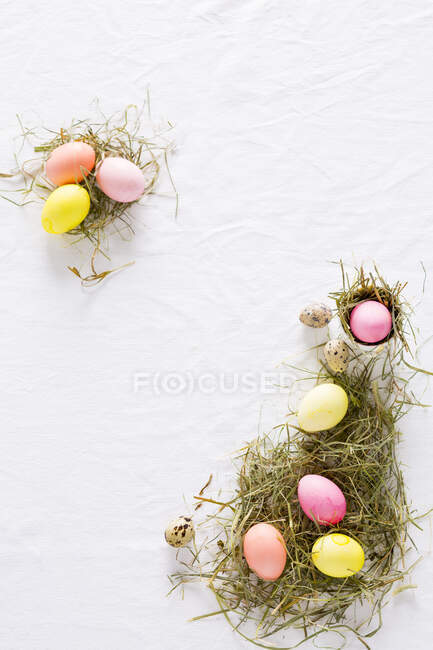 Un nido de Pascua con huevos de gallina de colores y huevos de codorniz - foto de stock