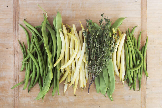 Various types of beans with herbs — Stock Photo
