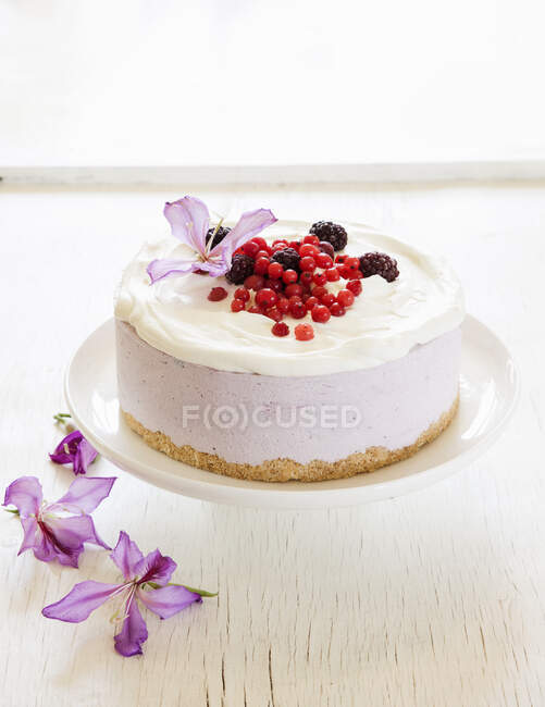 Berry cake for holiday party — Stock Photo