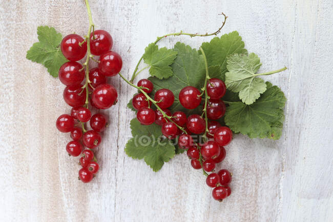 Redcurrants with leaves on a white wooden surface — Stock Photo
