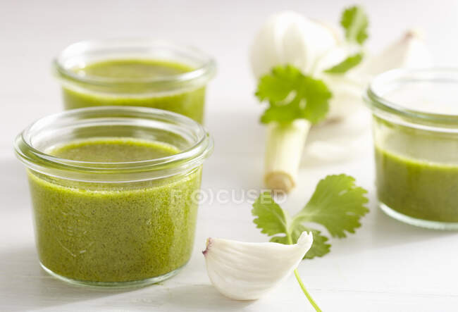 Mojo de cilantro (холодний соус з часником, Канарські острови).) — стокове фото