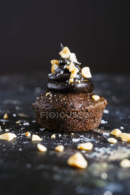 Chocolate Avocado Cupcakes with Peanuts — Stock Photo
