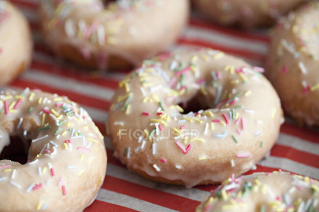 Primer plano de un delicioso donuts, donuts - foto de stock