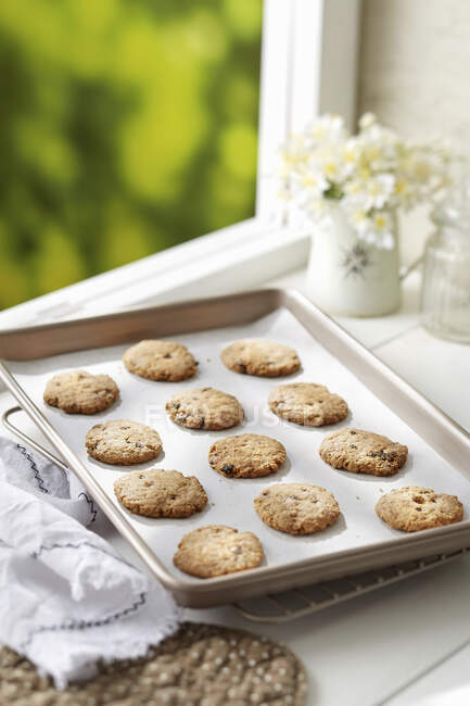 Bandeja de biscoitos caseiros de aveia assados com groselha preta e pedaços de chocolate — Fotografia de Stock