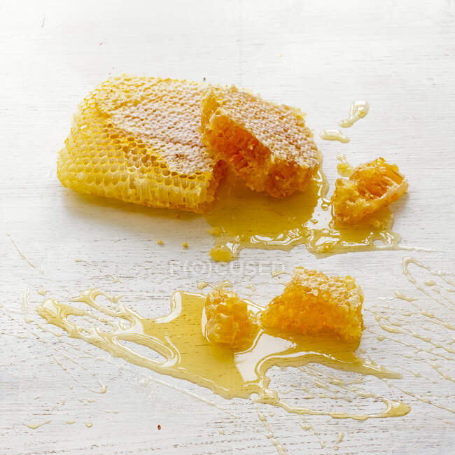 Abeja miel sobre un fondo blanco - foto de stock