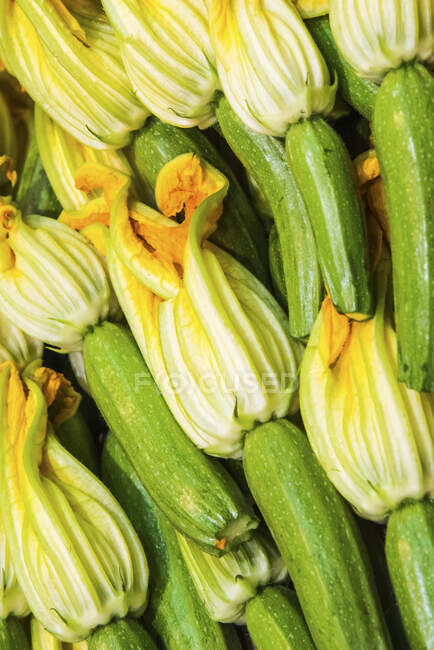 Courgettes with flowers on the table — Foto stock