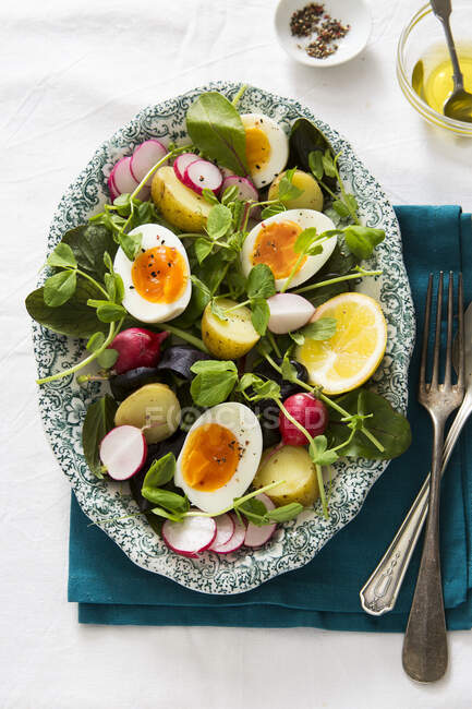 Ensalada de primavera de Pascua de huevo cocido vegetariano - foto de stock