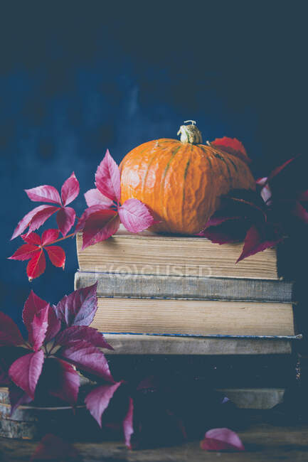 Pumpkin on top of a book stack — Stock Photo