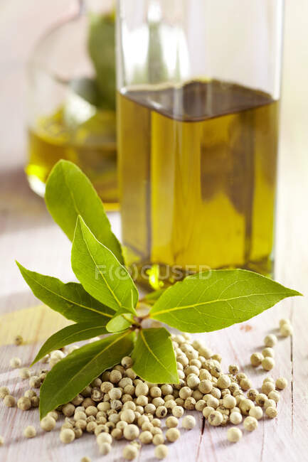 Homemade laurel oil with white pepper — Stock Photo
