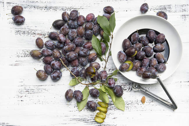 Damsons with leaves and a destoner — Stock Photo