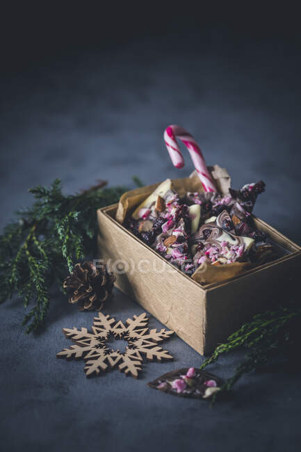 A candy cane and broken chocolate for Christmas — Stock Photo