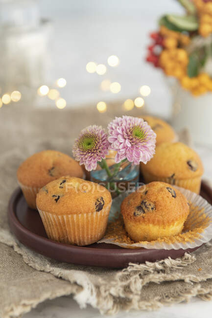 Nahaufnahme köstlicher Kürbis-Muffins — Stockfoto