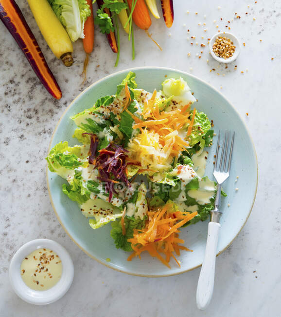 Salade de légumes crus aux carottes colorées — Photo de stock