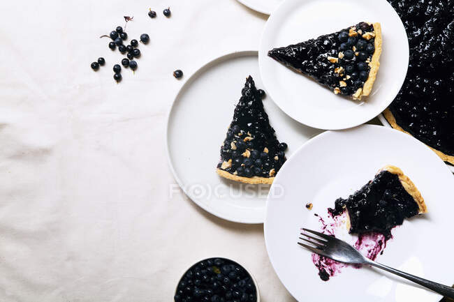 Шматочки чорничного пирога — стокове фото