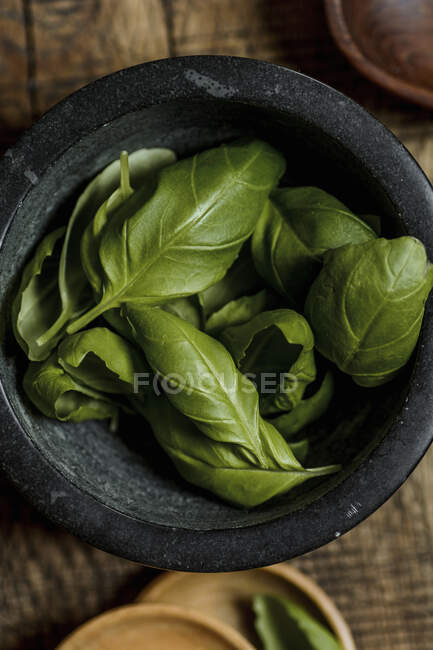 Primer plano de deliciosas hojas de albahaca fresca - foto de stock