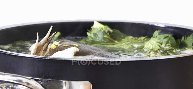 Estoque de peixe em uma panela — Fotografia de Stock