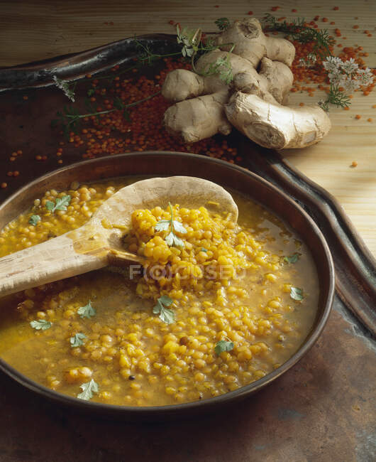 Curry de lentejas rojas con cilantro y jengibre (India) - foto de stock