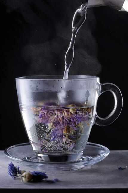 Close-up shot of Cornflower tea being brewed - foto de stock