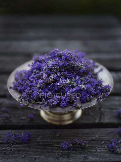 Fresh lavender flowers in a silver bowl on a wooden surface — Stock Photo