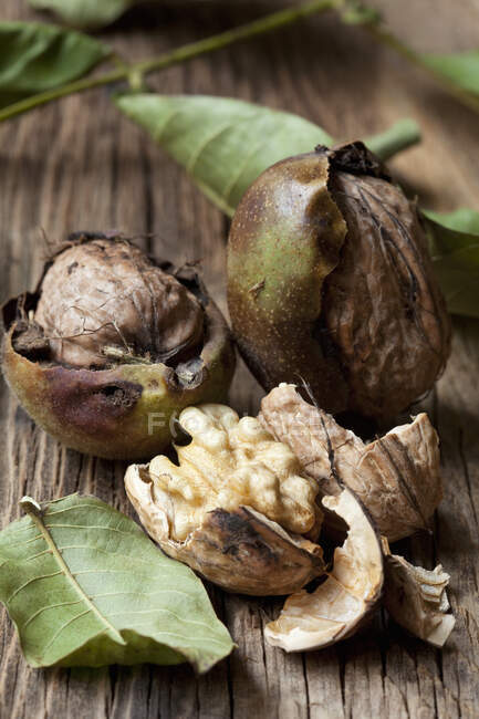 Fresh walnuts with green husks — Stock Photo