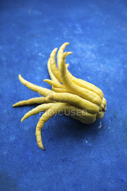 Close-up shot of delicious Finger lemon on a blue background — Stock Photo