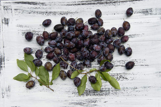 Damsons with leaves on a rustic wooden surface — Stock Photo
