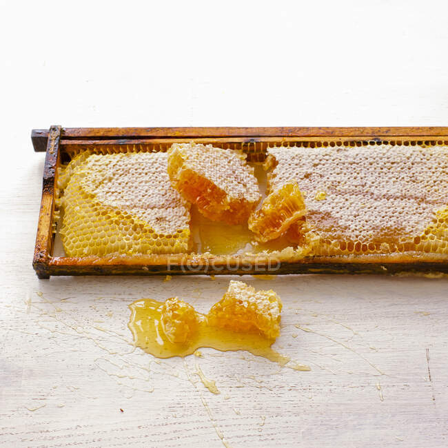 Медовий стіл з медом та медоносцями на білому тлі — стокове фото