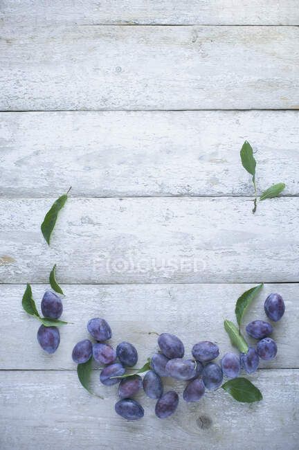 Damsons with leaves on a rustic white wooden surface — Stock Photo