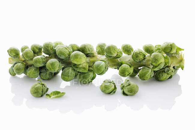 Fresh green brussels sprouts isolated on white background — Stock Photo