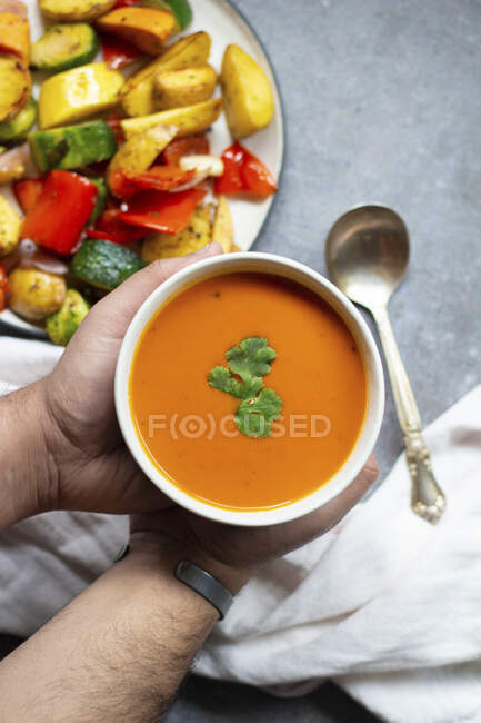 Crema de sopa de tomate con una fuente de verduras mixtas - foto de stock