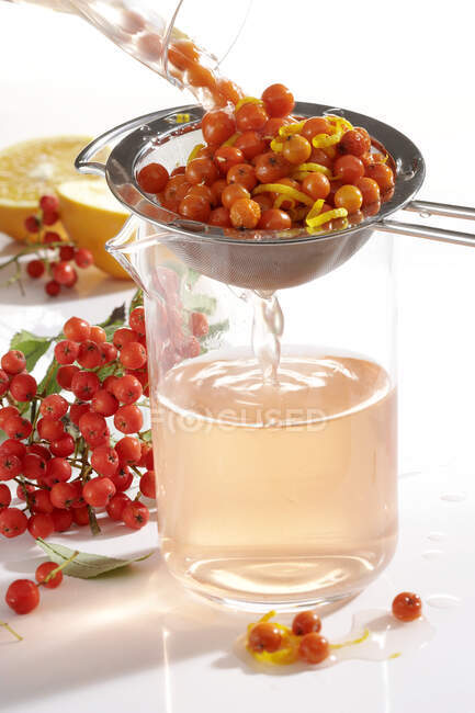 Homemade rowan berry vinegar with orange zest — Stock Photo