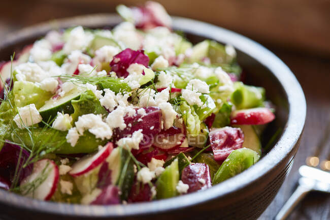 A mixed salad with radishes, cucumber, celery and feta cheese — Stock Photo