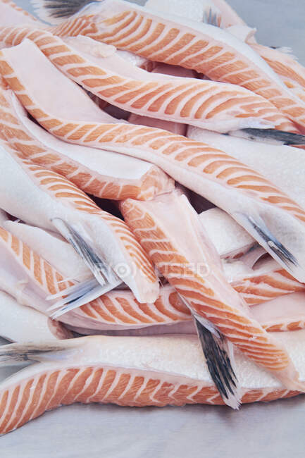 Raw salmon fillets for making fish stock - foto de stock