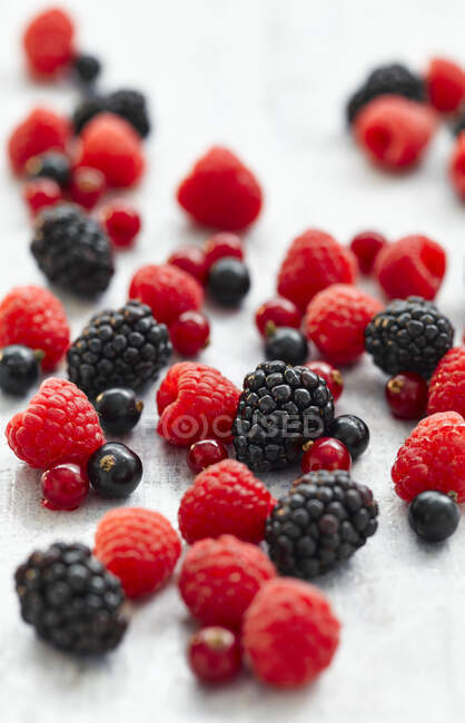 Close-up shot of delicious raspberries, blackberries and cranberries — Stock Photo