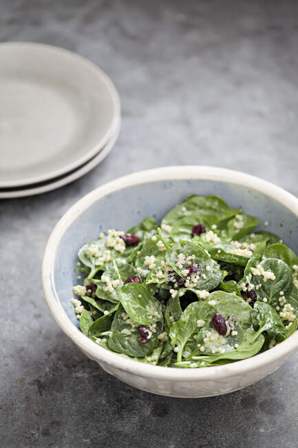 Salat mit Quinoa, Preiselbeeren und Spinat — Stockfoto
